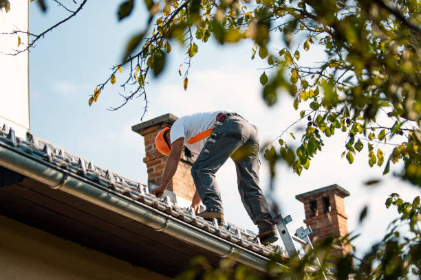 Sealant for Roof in Newberry, SC